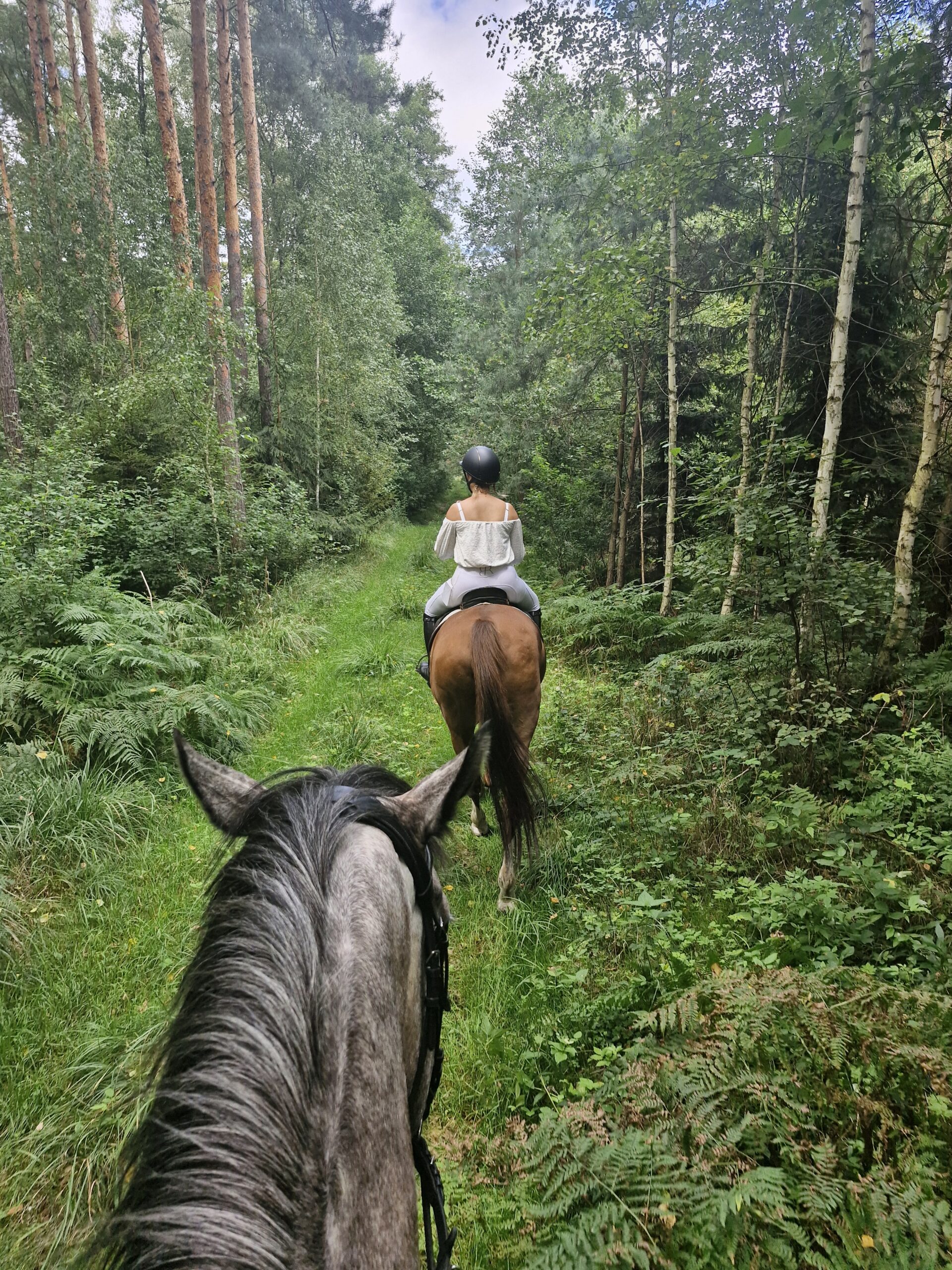 Moszna Castle - Image 3