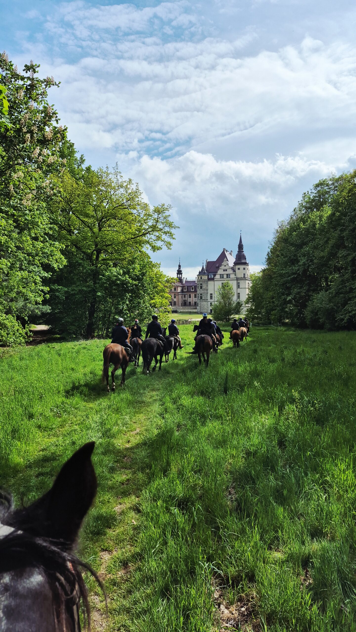 Moszna Castle - Image 6