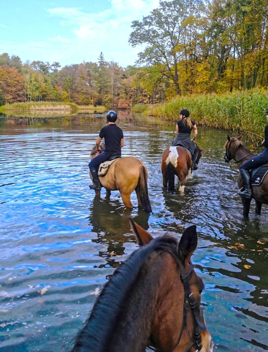 Moszna Castle - Image 2