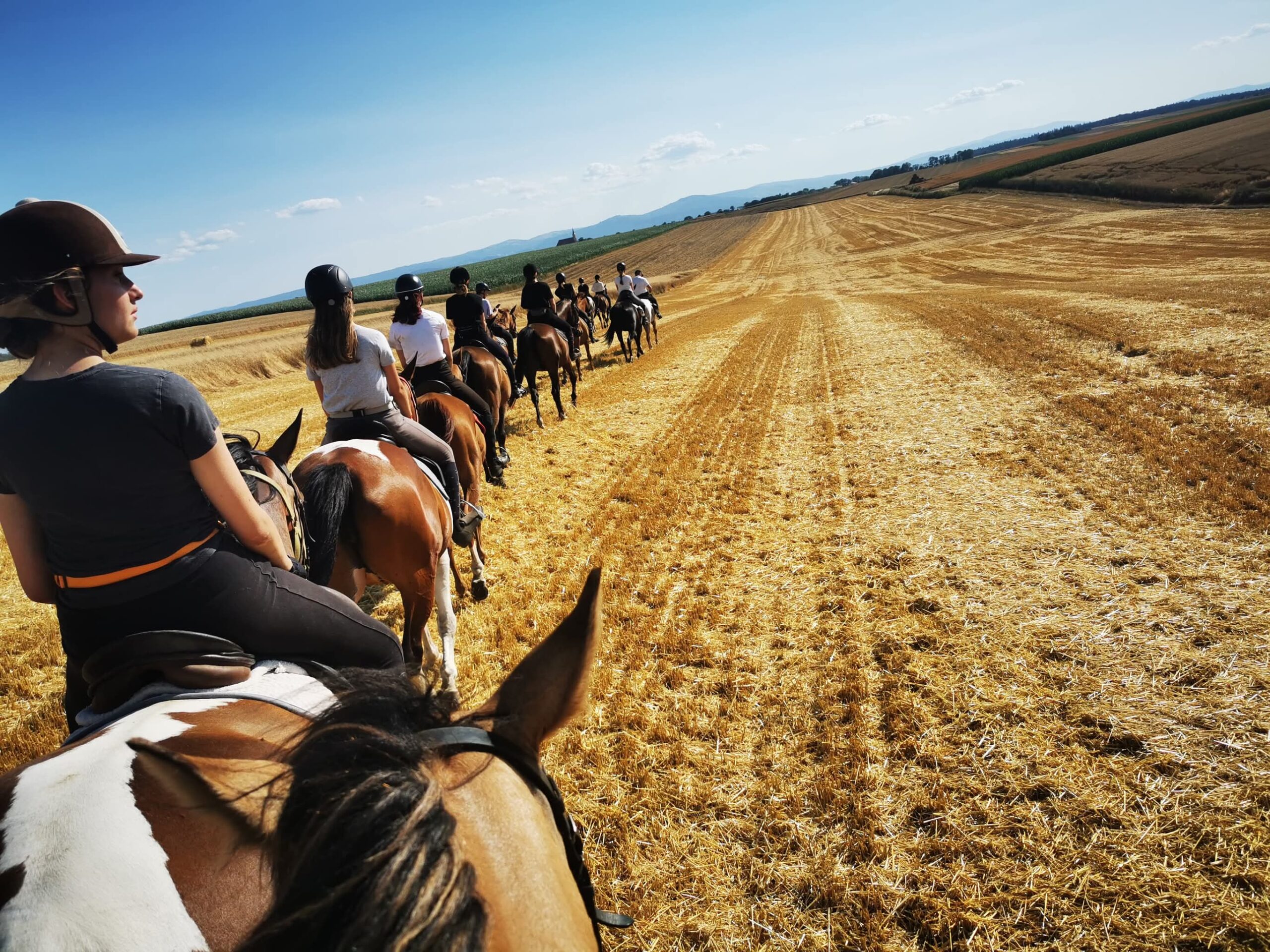 Moszna Castle - Image 4